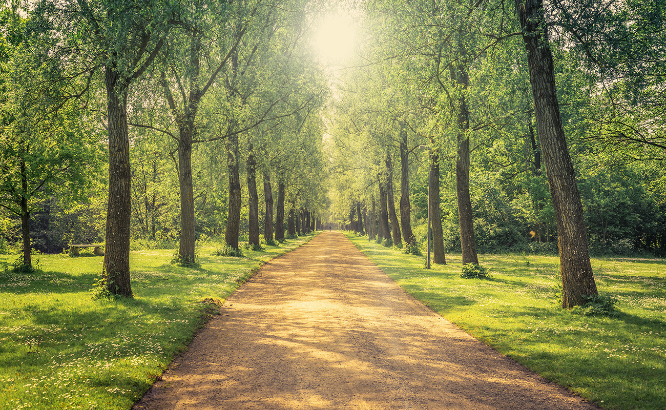 숲세권 힐링라이프